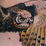 Tattoos - Fall Owl - 129980